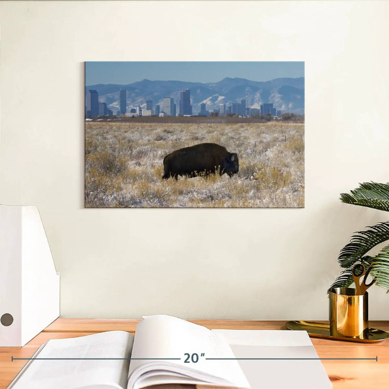 Brampt Denver Bison
