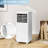 8000 Btu 3 In 1 Portable Air Conditioners With Remote Control With Cooling/dehumidifying/fan Mode