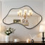 Miroir mural irrégulier en métal asymétrique
 Miroir décoratif pour salle de bain