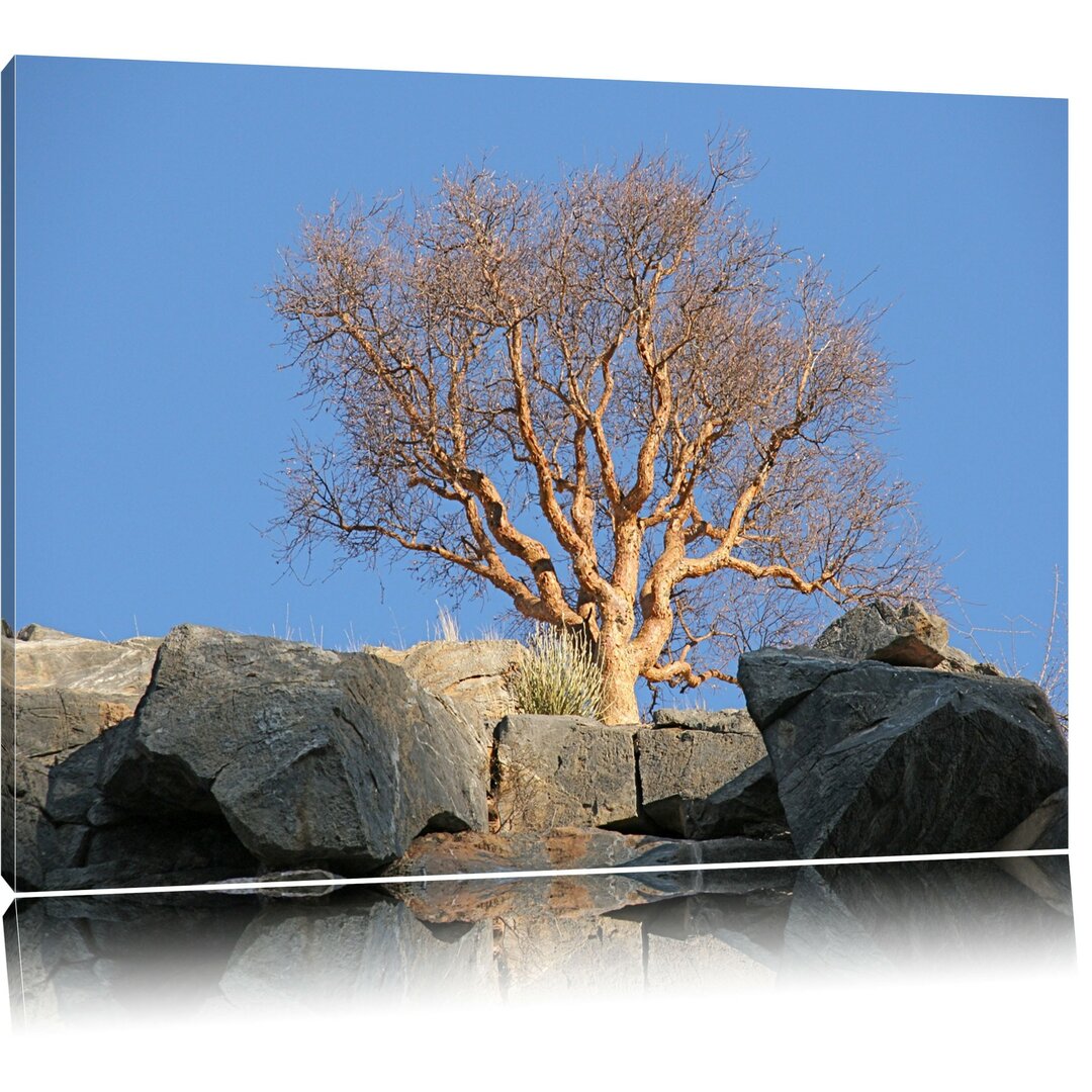 Leinwandbild Einsamer Baum im Gebirge