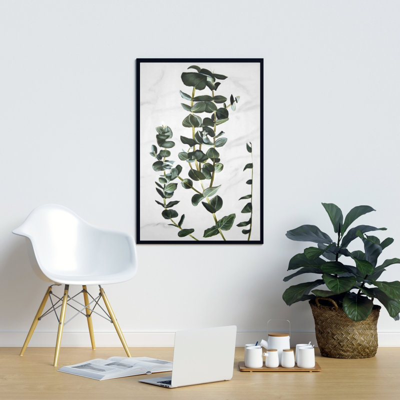 " Eucalyptus Stems "