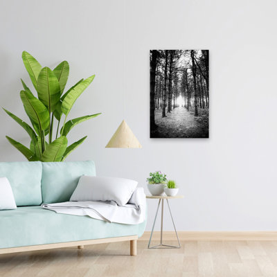Coucher de soleil sur les pins - Photographie contemporaine, paysage, forêt