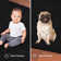 Modern Plush Solid Color Rug - Black, Pet and Kids Friendly Rug. Made in USA, Rectangle, Area Rugs Great for kids, Pets, Event, Wedding 