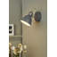 Azalea Spotlight-58964987