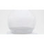 Eclipse Snow Globe