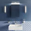 400 mm W 766 mm H Surface Mirrored Bathroom Cabinets with Mirror and 2 Adjustable Shelves
