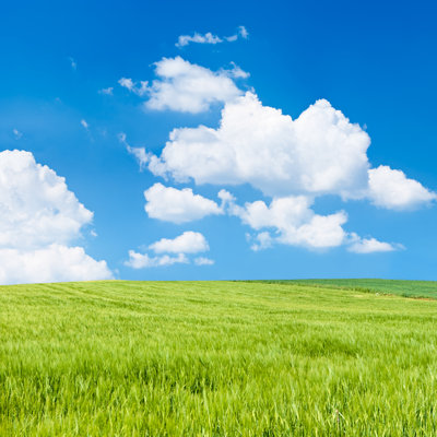Square Spring Landscape by Hadynyah - No Frame Art Prints on Canvas