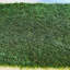 Fleur De Lis Living Artificial Grass Turf Rug / Roll