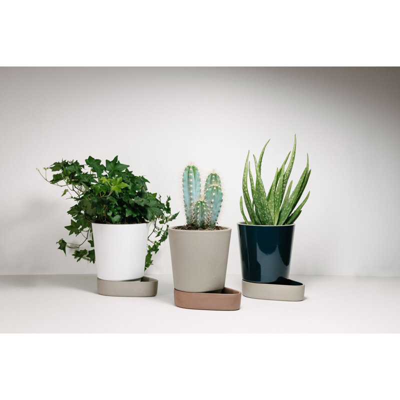 Sip Planter, Stone