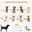 Foldable Pet Carrier for Dogs Cat Carrier-74777166-81878543