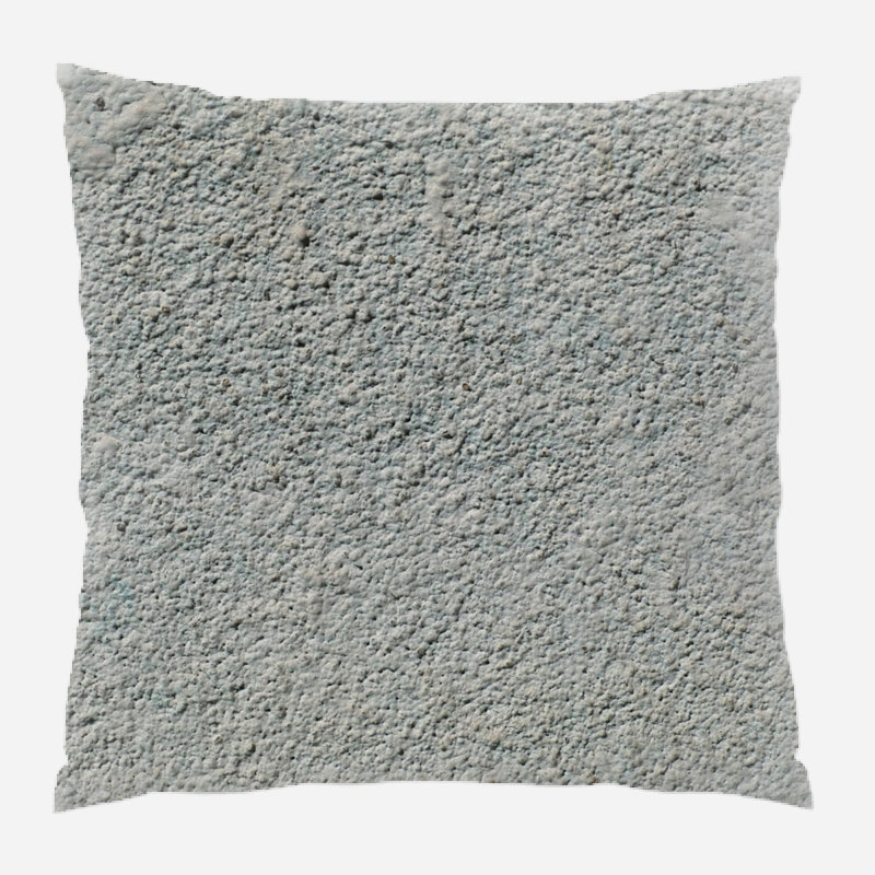 Coussin décoratif
