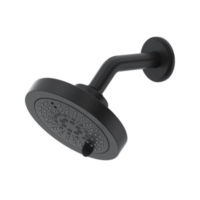 5" 6-Function Showerhead With Arm