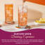 Highball Glass - Drinking Glasses - Set of 4 - Hiball Tumblers - 13 oz, Made in Europe