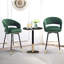 Tabouret de bar rotatif 29,5 po Roellig-1831422215