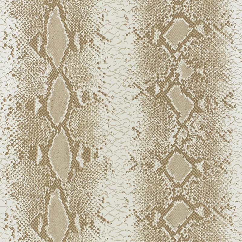 Papier peint charmeur de serpent, Sable