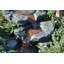 Plessis Outdoor Cascade Fountain