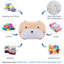 Housse de rangement pour petit sac de pois-358852467-356885506