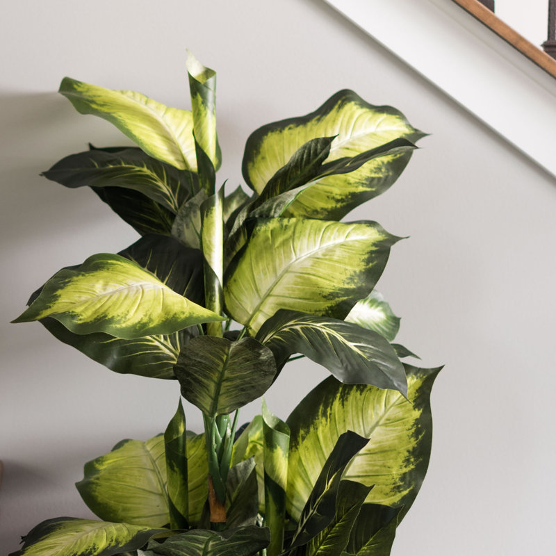 40" Artificial Green and White Dieffenbachia