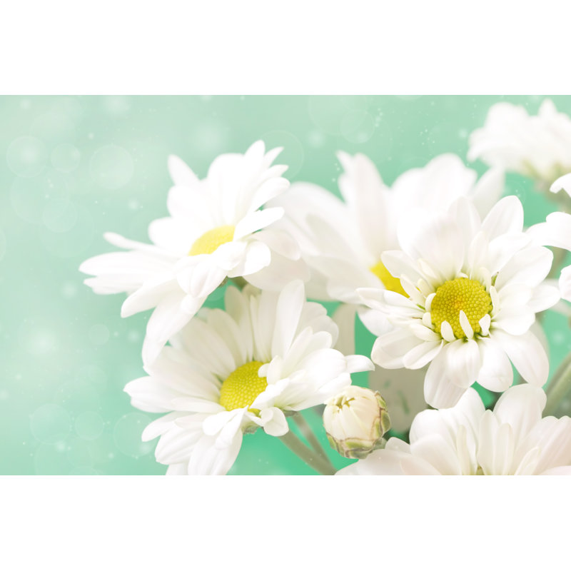 Tender White Chamomile's Flowers On A Green Background by Abigail210986 - Wrapped Canvas Print, 20"H x 30"W