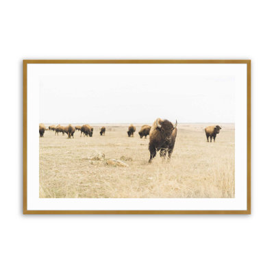 Motif de plaines sauvages