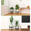 Marletta Plant Stand