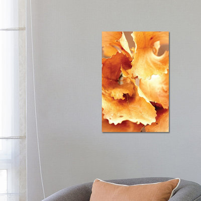 Bright Oak Leaves 1 Piece Wrapped Canvas Wall Art