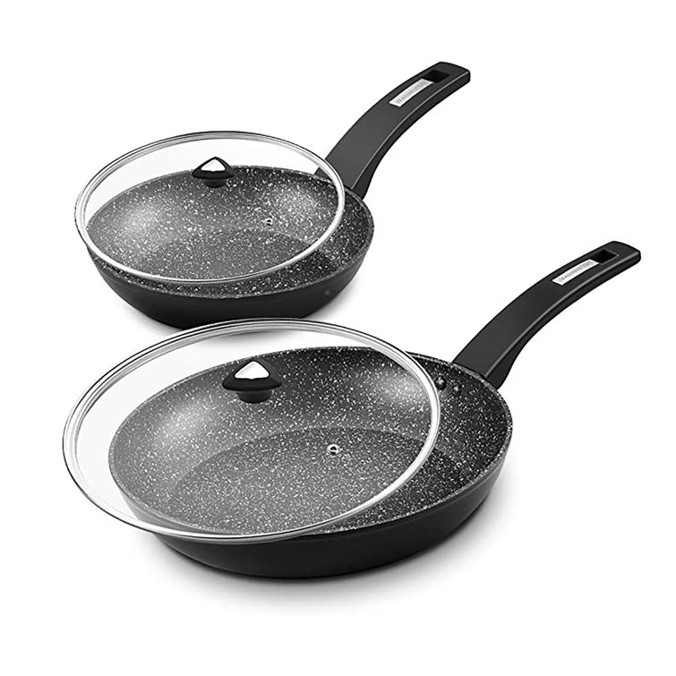 CS KOCHSYSTEME CS KOCHSYSTEME 9 Pieces Aluminum Non Stick Cookware Set, Wayfair in 2023