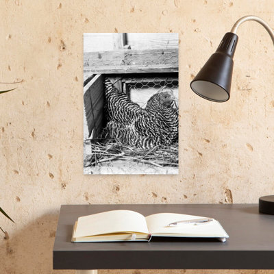 1960S Hen Sitting On Nest In Chicken Coop Classic Retro Vintage Bird Animal Architecture Wall Art