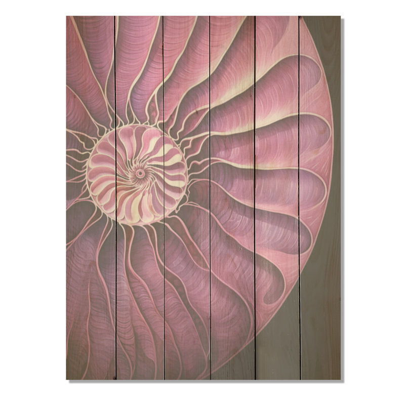 Nautilus prune coquillages - Nautilus, art sur bois de pin naturel, H 40 po x l 30 po
