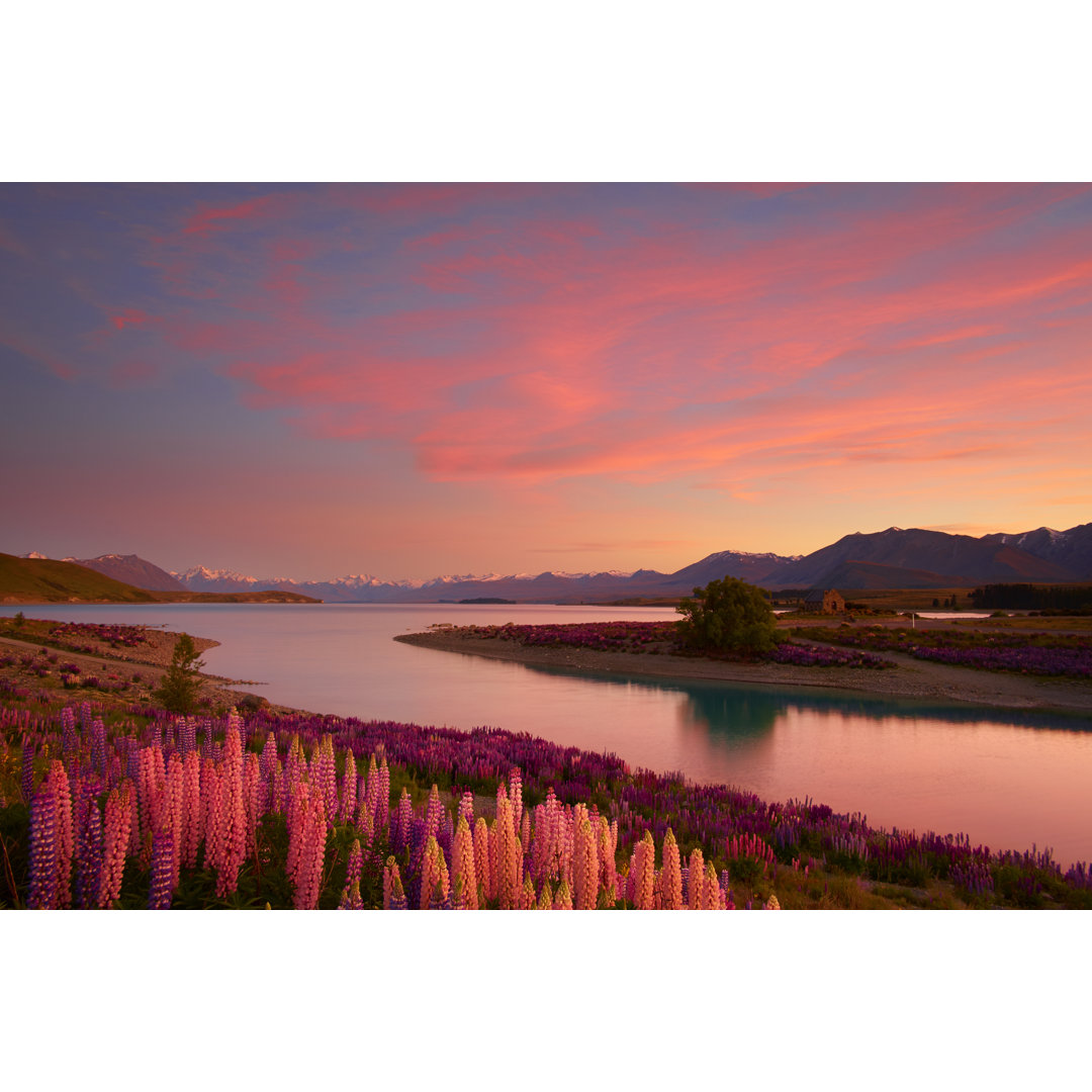 Morgendämmerung am Lake Tekapo von Simonbradfield - Drucken