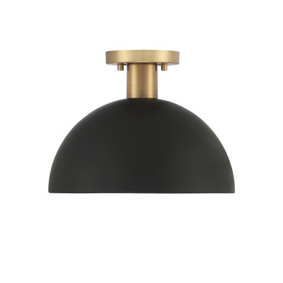 Darrah 1-Light Ceiling Light