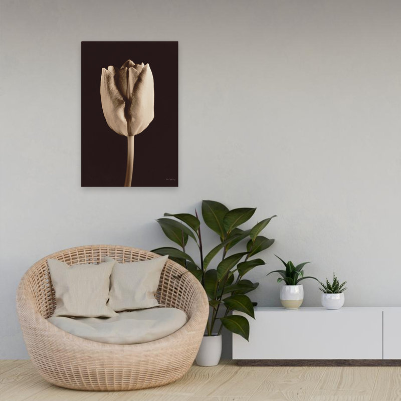 Tulipe moderne et contemporaine, H 24 po x l 16 po