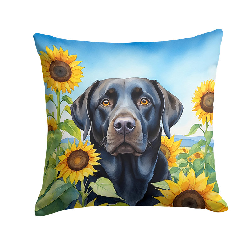 Coussin décoratif intérieur / extérieur Autre / Sans motif, H 18 po x l 18 po