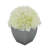 Fabric Hydrangea Arrangement in Pot-1553681567-1488260804