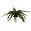 40cm Faux Plant in Ceramic Pot