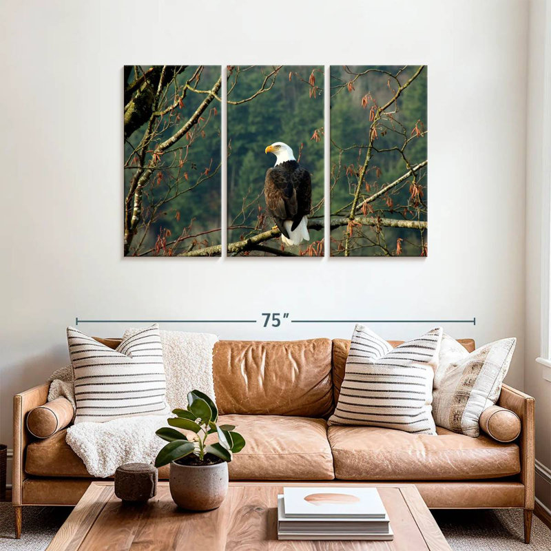 Brampt Perched Canadian Bald Eagle, 36" H x 57" W