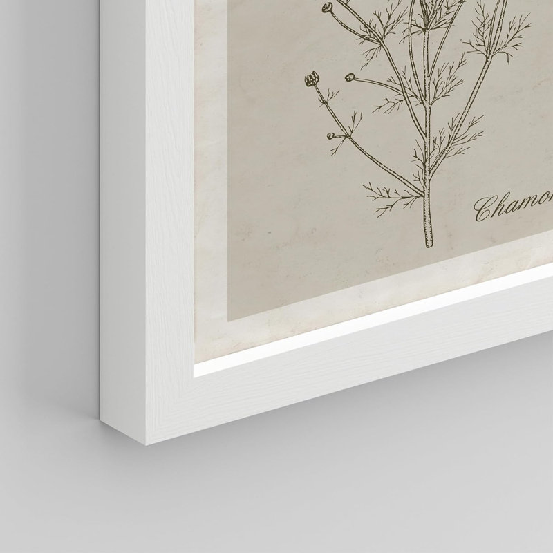 " Wildflower, Botanical Floral, Minimalist Decor, Vintage Poster " 8 Piece Art Graphic Art Print, 8" W x 10" H, White Framed