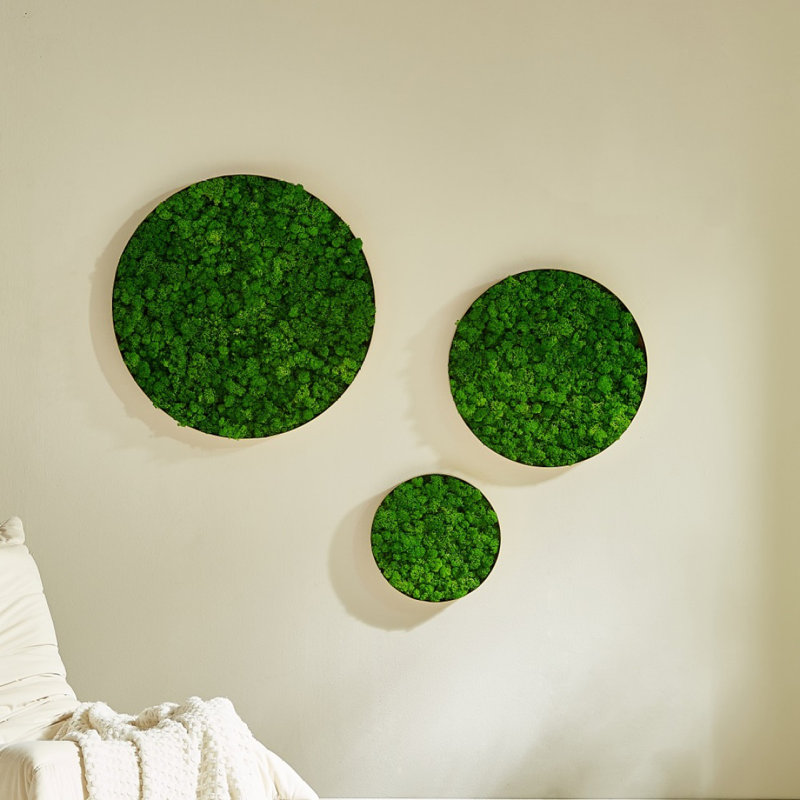 Décoration murale ronde en mousse encadrée, seulement le médium 18,1 * 18,1 * 2 po