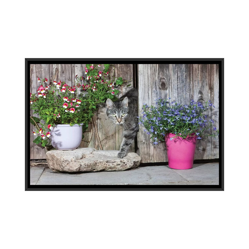 Reproduction de photo sur toile, H 18 po x l 26 po x P 1,5 po, Toile avec cadre noir, Pas de tapis