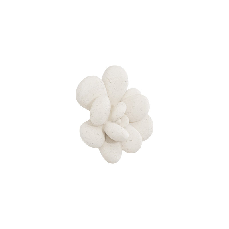 Laui Succulent Wall Art, White