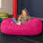 Jaxx Jr. Bean Bags Microfiber / Microsuede Bean Bag Chair & Lounger-19034379