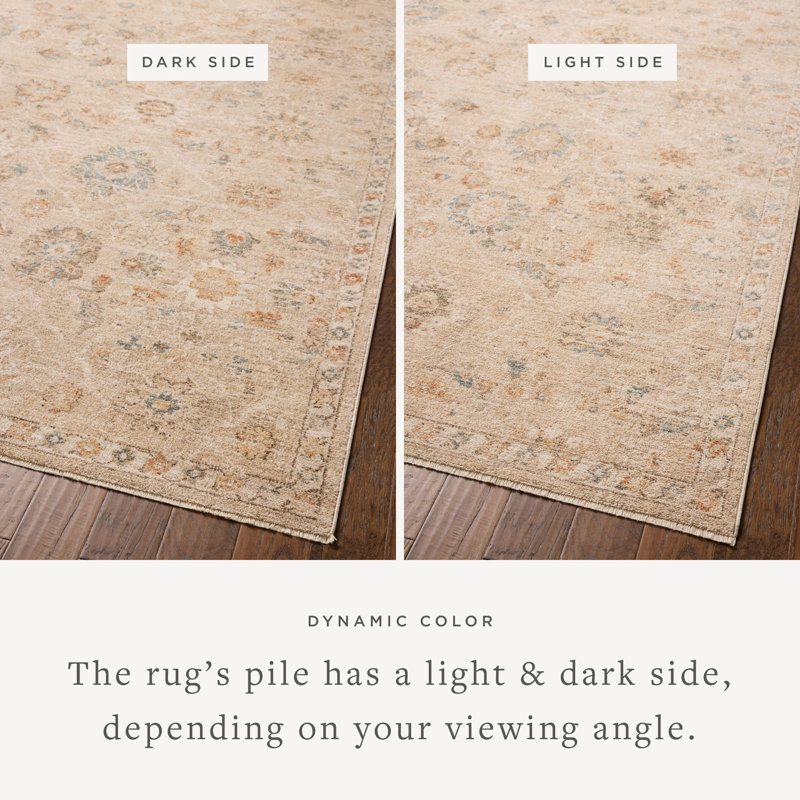 Chris Loves Julia x Loloi Palma Natural / Multi Area Rug, Rectangle 5'3" x 7'6"