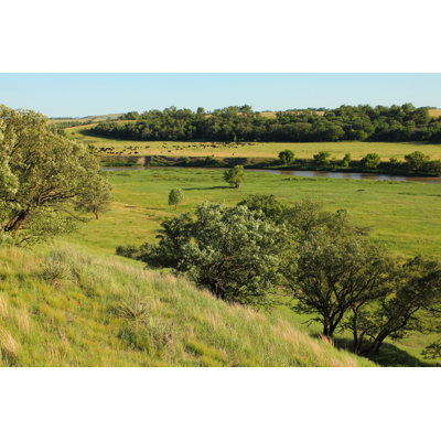 Scenic Ranch by Threespeedjones