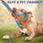 Wow Play - Dog Flirt Pole