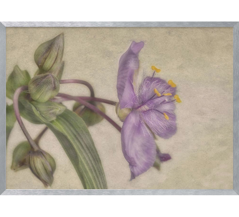 "Mauve fleur", art mural texturé encadré, H 10 po x l 14 po, Argent