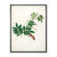 Botanique rétro - peinture sur toile-59815085-59815086