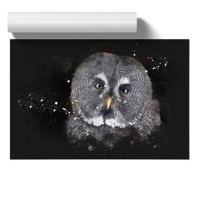 Great Grey Owl Vol.2 Paint Splash - Unframed Graphic Art