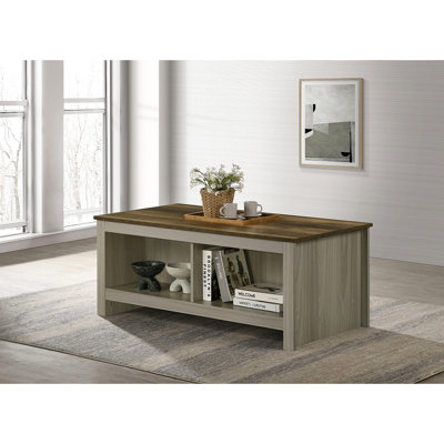 Table basse Nena avec tablettes ouvertes, plateau en bois brun, gris chêne 43 po