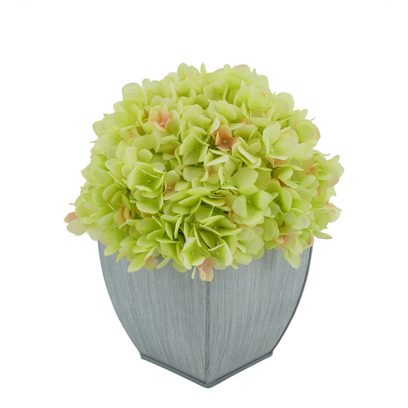 Arrangement floral d'hortensias dans un vase, Vert
