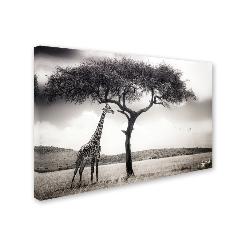 « under the africain sun », reproduction de photo sur toile tendue, 16 po x 24 po